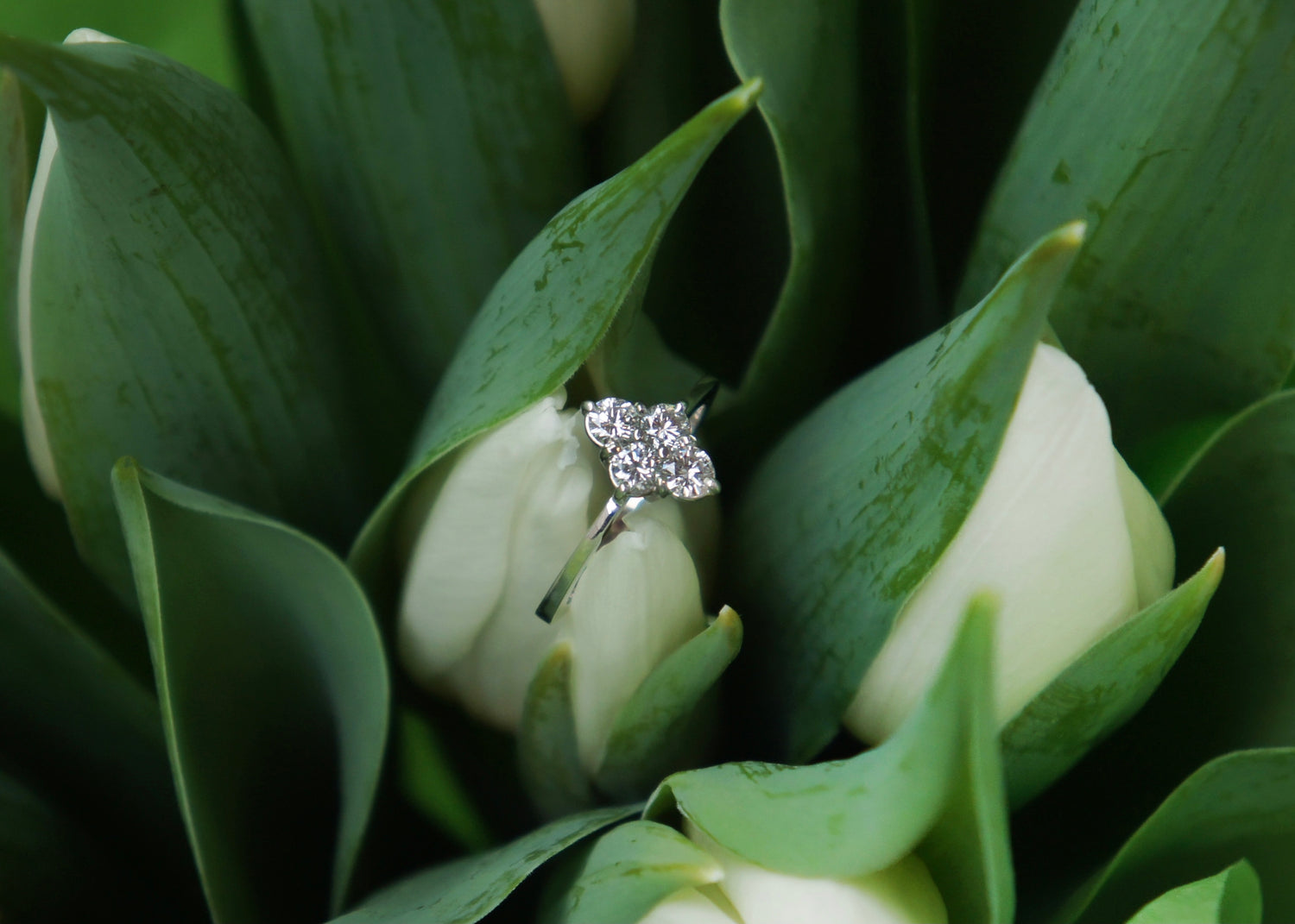 bague diamant éthique 